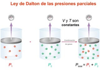 Ley de Dalton de las presiones parciales
V y T son
constantes
P1 P2 Ptotal = P1 + P2
Combinación
de gases
 