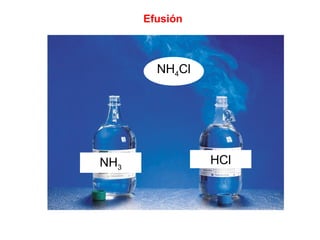 NH3
HCl
NH4Cl
Efusión
 
