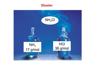 NH3
17 g/mol
HCl
36 g/mol
NH4Cl
Efusión
 