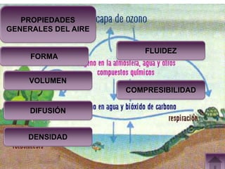 +
   PROPIEDADES
GENERALES DEL AIRE

                         FLUIDEZ
     FORMA


    VOLUMEN
                     COMPRESIBILIDAD

     DIFUSIÓN


    DENSIDAD
 