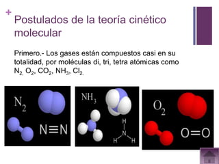 +
    Postulados de la teoría cinético
    molecular
    Primero.- Los gases están compuestos casi en su
    totalidad, por moléculas di, tri, tetra atómicas como
    N2, O2, CO2, NH3, Cl2.
 