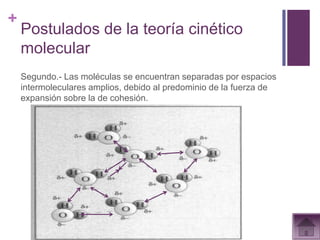 +
    Postulados de la teoría cinético
    molecular
    Segundo.- Las moléculas se encuentran separadas por espacios
    intermoleculares amplios, debido al predominio de la fuerza de
    expansión sobre la de cohesión.
 
