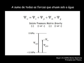 A suma de todas as forcas que atuam sob a águaBoyer JS (1995) Water Relations Principles and Theory. 