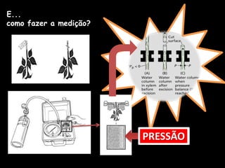 E...como fazer a medição?PRESSÃO   PRESSÃO   