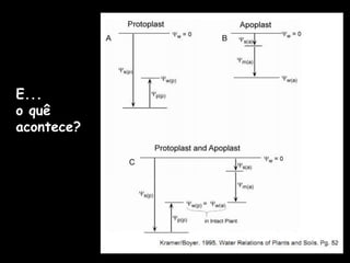 E...o quê acontece?