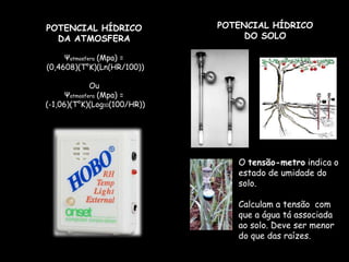POTENCIAL HÍDRICO DO SOLOPOTENCIAL HÍDRICO DA ATMOSFERAΨatmosfera (Mpa) = (0,4608)(T°K)(Ln(HR/100))OuΨatmosfera (Mpa) = (-1,06)(T°K)(Log10(100/HR))O tensão-metro indica o estado de umidade do solo.Calculam a tensão  com que a água tá associada ao solo. Deve ser menor do que das raízes.
