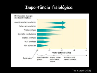 Importância fisiológica Taiz & Zeiger (2006) 