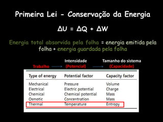 Primeira Lei - Conservação da EnergiaΔU = ΔQ + ΔWEnergia total absorvida pela folha = energia emitida pela folha + energia guardada pela folha Intensidade(Potencial)Tamanho do sistema(Capacidade)Trabalho