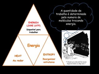 A quantidade de trabalho é determinada pelo numero de moléculas trocando energia.