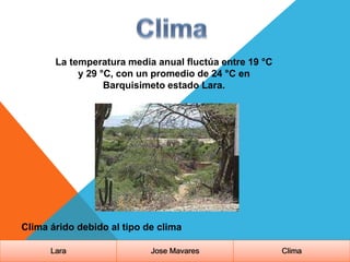 Lara Jose Mavares Clima
La temperatura media anual fluctúa entre 19 °C
y 29 °C, con un promedio de 24 °C en
Barquisimeto estado Lara.
Clima árido debido al tipo de clima
 