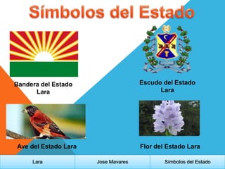 Bandera del Estado
Lara
Escudo del Estado
Lara
Ave del Estado Lara
Lara Jose Mavares Símbolos del Estado
Flor del Estado Lara
 