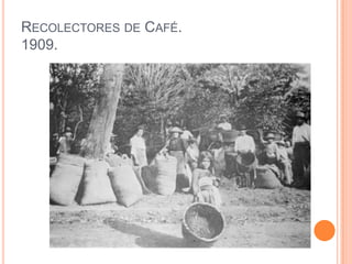 Recolectores de Café.1909.