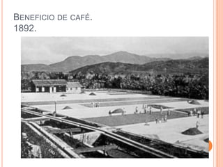 Beneficio de café.1892.
