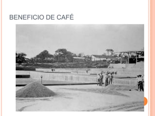 BENEFICIO DE CAFÉ