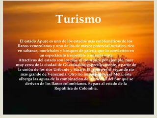 
Turismo
El estado Apure es uno de los estados más emblemáticos de los
llanos venezolanos y uno de los de mayor potencial turístico, rico
en sabanas, morichales y bosques de galería que lo convierten en
un espectáculo irrepetible a nuestra vista
Atractivos del estado son los ríos: el río Apure por ejemplo, nace
muy cerca de la ciudad de Guasdualito, específicamente, a partir de
la unión de los ríos Uribante y Sarare. El Apure es el segundo río
más grande de Venezuela. Otro río importante es el Meta, este
alberga las aguas de la combinación de las tierras del Sur que se
derivan de los llanos colombianos. Separa al estado de la
República de Colombia.
 