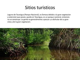 Sitios turisticos
Laguna de Tacarigua (Parque Nacional), es famosa debido a la gran vegetacion
y extension que posee, queda en Tacarigua, es un parque nacional, entonces
no se construyo. La gente va generalmente a pescar y a disfrutar de su gran
vista y de la gran vegetacion.
 