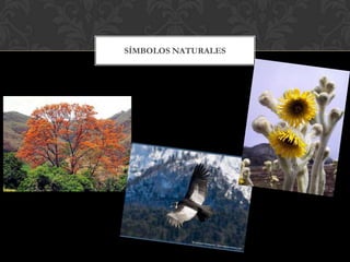 SÍMBOLOS NATURALES
 