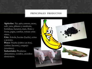 PRINCIPALES PRODUCTOS



Agrícolas: Ajo, apio, caraota, cacao,
café, yuca, plátano y zanahoria,
hortalizas, bananos, maíz, flores y
frutas, papas, cambur, tomate entre
otros...
Cría: Avícola, bovino (Leche), ovino
y porcino.
Pesca: Trucha (cultivo en ríos),
curbina (lacustre), cangrejo
(crustáceo).
Industriales: Productos
alimenticios, vestidos, utensilios
domésticos.
 