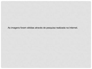 As imagens foram obtidas através de pesquisa realizada na Internet.

 
