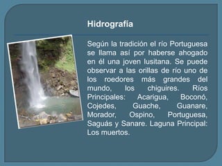 HidrografíaSegún la tradición el río Portuguesa se llama así por haberse ahogado en él una joven lusitana. Se puede observar a las orillas de río uno de los roedores más grandes del mundo, los chiguires. Ríos Principales: Acarigua, Boconó, Cojedes, Guache, Guanare, Morador, Ospino, Portuguesa, Saguás y Sanare. Laguna Principal: Los muertos.