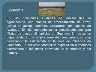 EconomíaEn las principales ciudades se desenvuelve la agroindustria, con plantas de procesamiento de arroz, usinas de aceite, centrales azucareros, en especial en Acarigua. Simultáneamente se ha consolidado una gran fábrica de pastas alimenticias en Guanare. En las zonas bajas destaca una amplia zona de ganadería extensiva, destacando la establecida en la zona de influencia de Guanarito. La actividad forestal se expresa en numerosos aserraderos e industrias derivadas de la madera y del mueble.