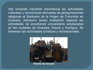 Van tomando creciente importancia las actividades culturales y económicas derivadas de peregrinaciones religiosas al Santuario de la Virgen de Coromoto en Guanare. Asimismo tienen irradiación regional las actividades de enseñanza universitaria emplazadas en las ciudades de Guanare, Araure y Acarigua. Se fomentan las actividades turísticas y recreacionales.Planta de Azucar