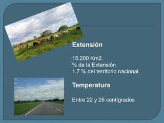 Extensión15.200 Km2.% de la Extensión1.7 % del territorio nacional.TemperaturaEntre 22 y 26 centígrados