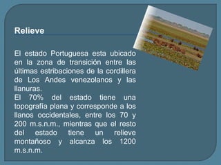 RelieveEl estado Portuguesa esta ubicado en la zona de transición entre las últimas estribaciones de la cordillera de Los Andes venezolanos y las llanuras.El 70% del estado tiene una topografía plana y corresponde a los llanos occidentales, entre los 70 y 200 m.s.n.m., mientras que el resto del estado tiene un relieve montañoso y alcanza los 1200 m.s.n.m.