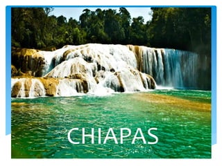 CHIAPAS
 