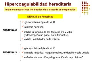 Hipercoagulabilidad hereditaria
fallan los mecanismos inhibitorios de la cascada de coagulación

DEFICIT de Proteinas
 glucoproteina dpte de vit K
 síntesis hepática
PROTEINA C

 inhibe la función de los factores Va y VIIIa
y desempeña un papel en la fibrinolisis
 existe un inhibidor de la misma
 glucoproteina dpte de vit K

PROTEINA S

 síntesis hepática, megacariocitos, endotelio y cels Leydig
 cofactor de la acción y degradación de la proteina C

 