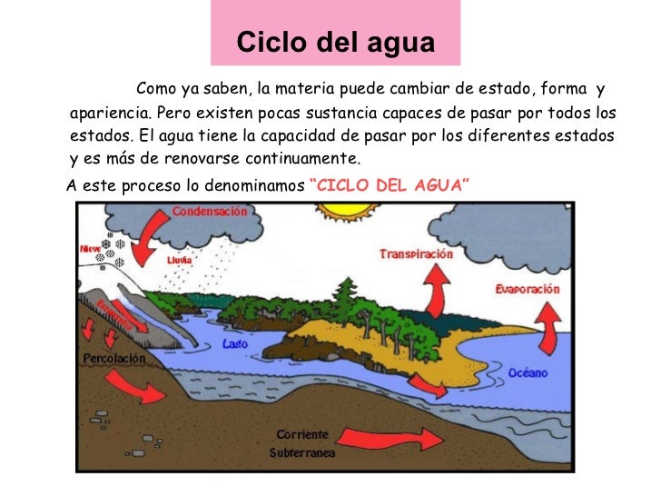 Estados De La Materia