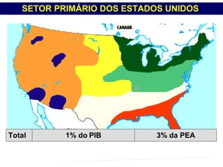 SETOR PRIMÁRIO DOS ESTADOS UNIDOS  PROFESSOR MARCELUS FONSECA - marcelusfonseca@gmail.com Total 3% da PEA 1% do PIB 