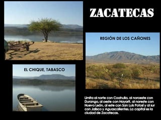 EL CHIQUE, TABASCO REGIÓN DE LOS CAÑONES 
