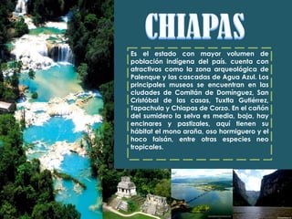 Es el estado con mayor volumen de población indígena del país. cuenta con atractivos como la zona arqueológica de Palenque y las cascadas de Agua Azul. Los principales museos se encuentran en las ciudades de Comitán de Domínguez, San Cristóbal de las casas, Tuxtla Gutiérrez, Tapachula y Chiapas de Corzo. En el cañón del sumidero la selva es media, baja, hay encinares y pastizales, aquí tienen su hábitat el mono araña, oso hormiguero y el hoco faisán, entre otras especies neo tropicales. 