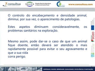 O controlo do encabeçamento e densidade animal,
diminui, por sua vez, o aparecimento de patologias.
Estes aspetos diminuem consideravelmente, os
problemas sanitários na exploração.
Mesmo assim, pode dar-se o caso de que um animal
fique doente, então deverá ser atendido o mais
rapidamente possível para evitar o seu agravamento e
que a sua vida
corra perigo.
 