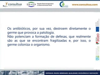 Os antibióticos, por sua vez, destroem diretamente o
germe que provoca a patologia.
Não potenciam a formação de defesas, que realmente
são as que se encontram fragilizadas e, por isso, o
germe coloniza o organismo.
 