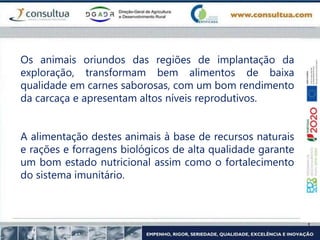 Os animais oriundos das regiões de implantação da
exploração, transformam bem alimentos de baixa
qualidade em carnes saborosas, com um bom rendimento
da carcaça e apresentam altos níveis reprodutivos.
A alimentação destes animais à base de recursos naturais
e rações e forragens biológicos de alta qualidade garante
um bom estado nutricional assim como o fortalecimento
do sistema imunitário.
 