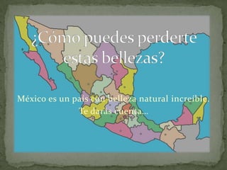 ¿Cómo puedes perderte estas bellezas? México es un país con belleza natural increíble. Te darás cuenta…  