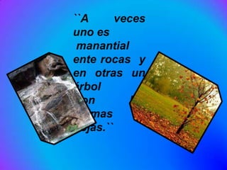 ``A      veces
uno es
 manantial
ente rocas y
en otras un
árbol
Con        las
ultimas
hojas.``
 