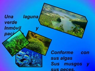 Una     laguna
verde
Inmóvil      y
paciente


                 Conforme  con
                 sus algas
                 Sus musgos y
 