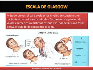 ESCALA DE GLASGOW
Método universal para evaluar los niveles de conciencia en
pacientes con lesiones cerebrales. Se basa en asignación de
valores numéricos a distintas respuestas, donde la suma total
deriva el estado de conciencia o coma.




                    Bibliografía: Neuroanatomía de Netter
 
