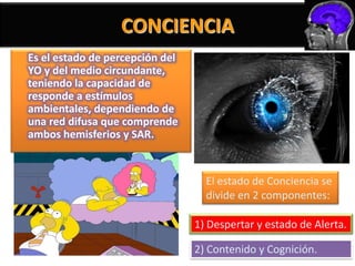 CONCIENCIA
Es el estado de percepción del
YO y del medio circundante,
teniendo la capacidad de
responde a estímulos
ambientales, dependiendo de
una red difusa que comprende
ambos hemisferios y SAR.


                                   El estado de Conciencia se
                                   divide en 2 componentes:

                                 1) Despertar y estado de Alerta.

                                 2) Contenido y Cognición.
 
