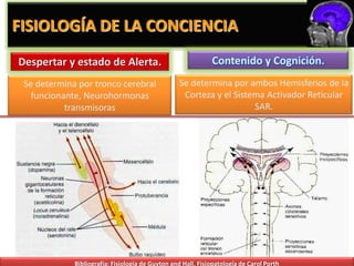 FISIOLOGÍA DE LA CONCIENCIA
Despertar y estado de Alerta.                                 Contenido y Cognición.
 Se determina por tronco cerebral                 Se determina por ambos Hemisferios de la
   funcionante, Neurohormonas                      Corteza y el Sistema Activador Reticular
           transmisoras                                              SAR.




             Bibliografía: Fisiología de Guyton and Hall, Fisiopatología de Carol Porth
 