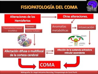 FISIOPATOLOGÍA DEL COMA



Traumatismo Craneal
                       Tumores                           Anomalías                          intoxicación
     Encefálico        Infartos múltiples                metabólicas




                                            COMA
                 Bibliografía: Dr. Angel Anicaima Neurolog, Fisiopatología de Carol Porth
 