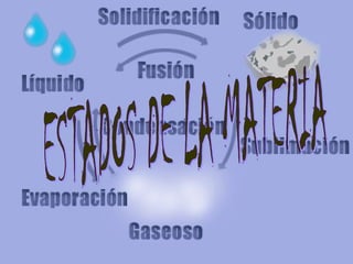ESTADOS DE LA MATERIA 