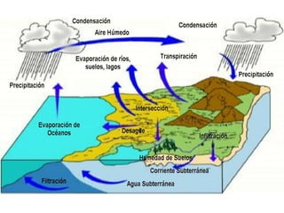 Estados de la materia