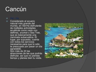 Cancún
 Xel - Ha
 Considerado el acuario
natural más grande del
mundo, en Xel-Ha disfrutarás
de múltiples actividades
acuáticas como nado con
delfines, snorkel o Sea Trek,
que es básicamente una
caminata subacuática. El
lugar, por supuesto, cuenta
con todos los servicios
necesarios para que tú sólo
te preocupes por pasar un día
agradable.
Son más de 20 las
atracciones de las que podrás
disfrutar, así que no pierdas
tiempo y planea bien tu visita.
 