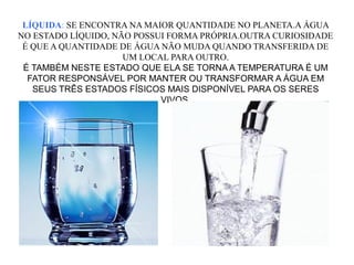 LÍQUIDA: SE ENCONTRA NA MAIOR QUANTIDADE NO PLANETA.A ÁGUA
NO ESTADO LÍQUIDO, NÃO POSSUI FORMA PRÓPRIA.OUTRA CURIOSIDADE
É QUE A QUANTIDADE DE ÁGUA NÃO MUDA QUANDO TRANSFERIDA DE
UM LOCAL PARA OUTRO.
É TAMBÉM NESTE ESTADO QUE ELA SE TORNA A TEMPERATURA É UM
FATOR RESPONSÁVEL POR MANTER OU TRANSFORMAR A ÁGUA EM
SEUS TRÊS ESTADOS FÍSICOS MAIS DISPONÍVEL PARA OS SERES
VIVOS.