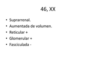 46, XX
•
•
•
•
•

Suprarrenal.
Aumentada de volumen.
Reticular +
Glomerular +
Fasciculada -

 