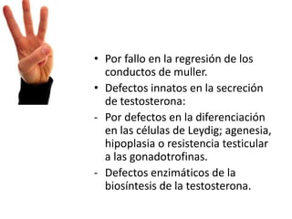 • Por fallo en la regresión de los
conductos de muller.
• Defectos innatos en la secreción
de testosterona:
- Por defectos en la diferenciación
en las células de Leydig; agenesia,
hipoplasia o resistencia testicular
a las gonadotrofinas.
- Defectos enzimáticos de la
biosíntesis de la testosterona.

 